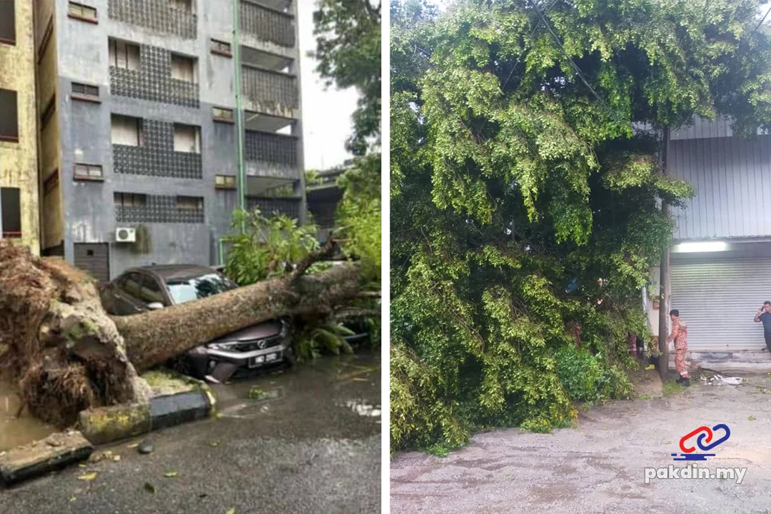 Pokok tumbang akibat ribut dan hujan lebat di Kuala Lumpur