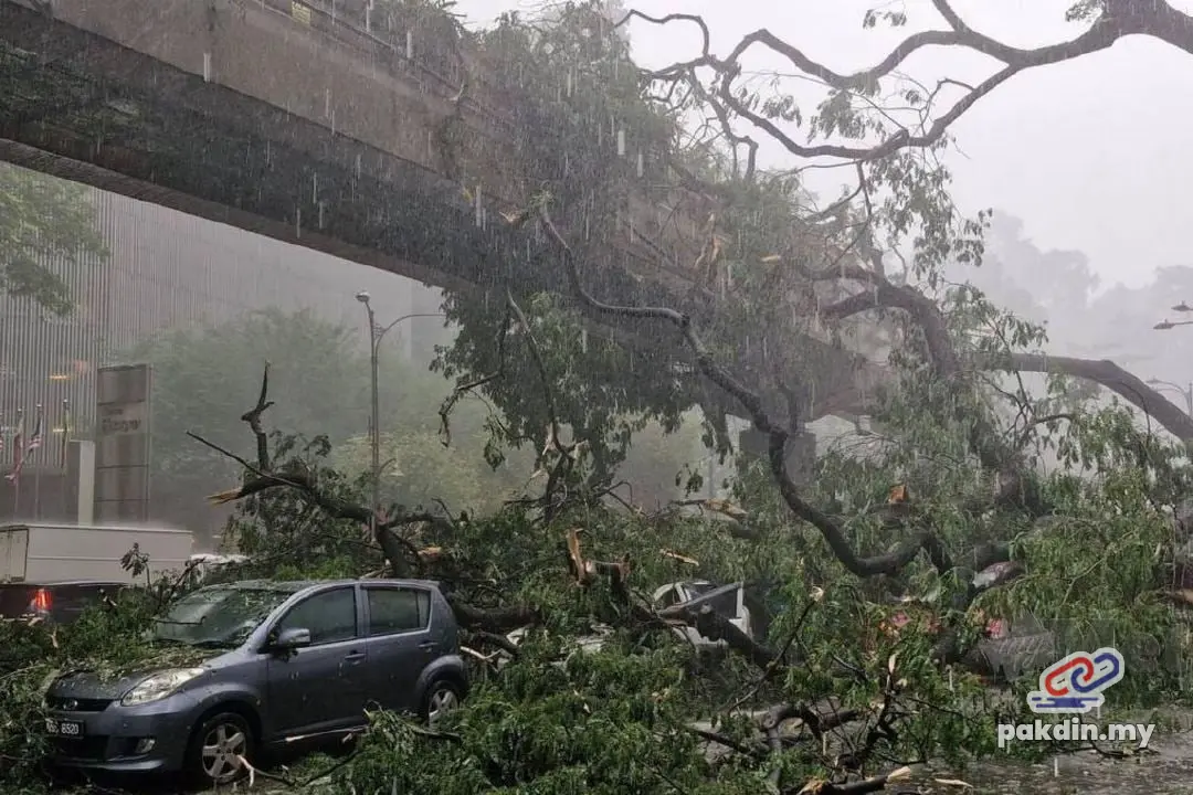 [VIDEO] Seorang maut, seorang cedera dihempap pokok tumbang di Jalan Sultan Ismail